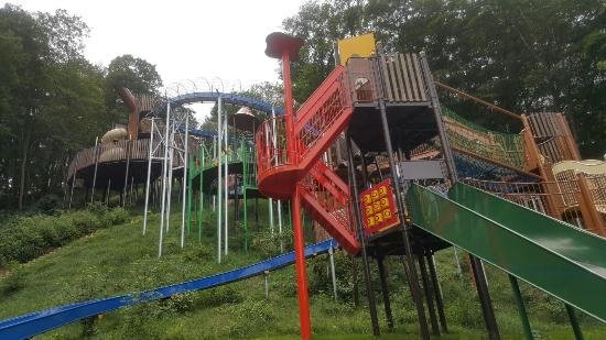 🎡 군마 어린이의 나라(군마 코도모노쿠니) 이미지 8